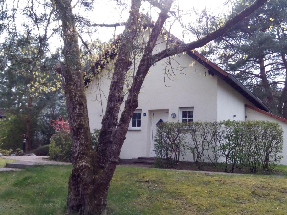 Lenzer Parkblick Am Plauer See Екстериор снимка